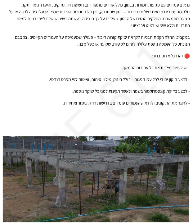 דוח ביקורת ממצאי עמודים